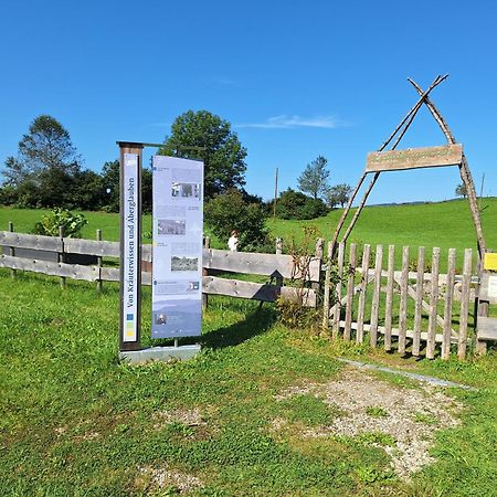 Fewo Allgaeuerle1605 Mit Hallenbad, Sauna, Tiefgarage Und Wlan Миссен-Вильхамс Экстерьер фото