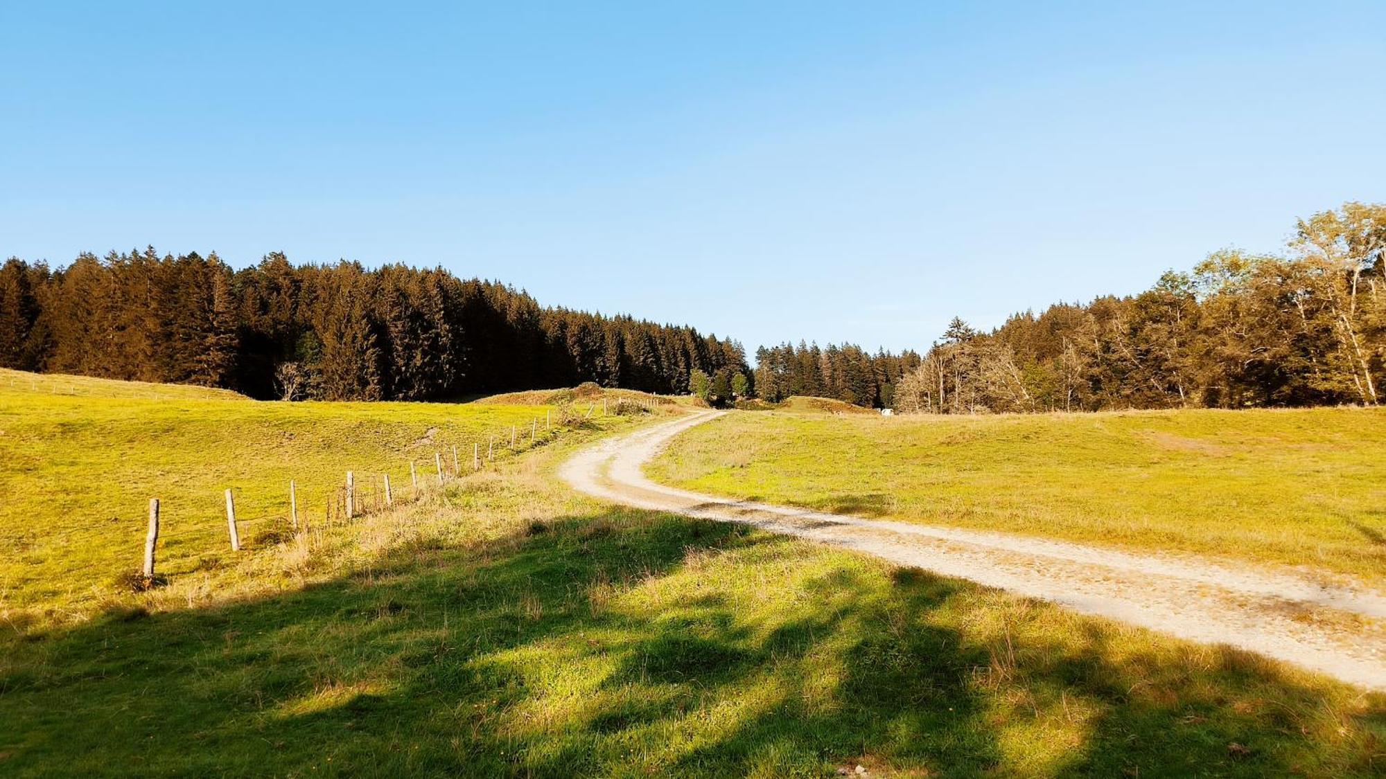 Fewo Allgaeuerle1605 Mit Hallenbad, Sauna, Tiefgarage Und Wlan Миссен-Вильхамс Экстерьер фото