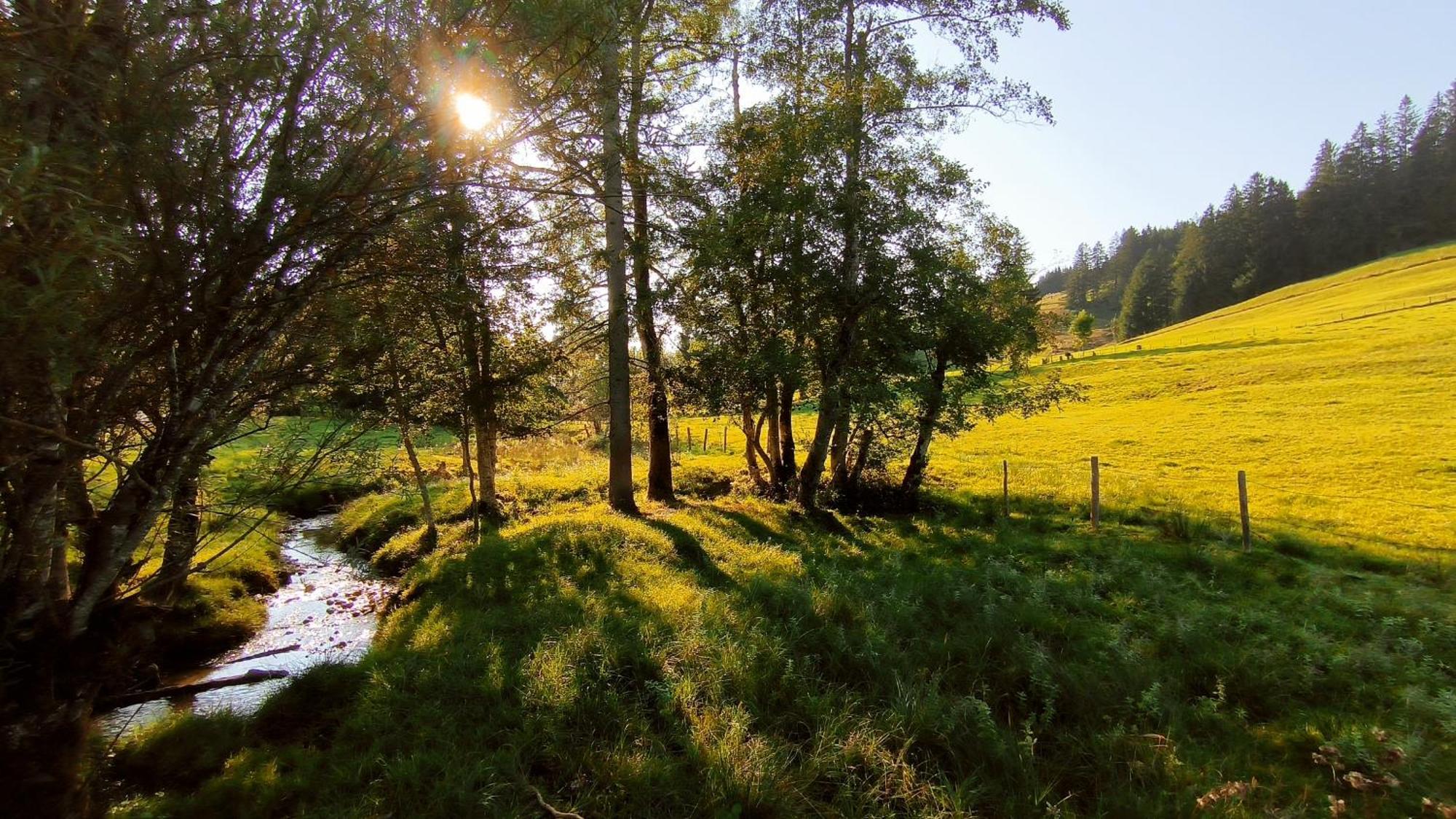 Fewo Allgaeuerle1605 Mit Hallenbad, Sauna, Tiefgarage Und Wlan Миссен-Вильхамс Экстерьер фото